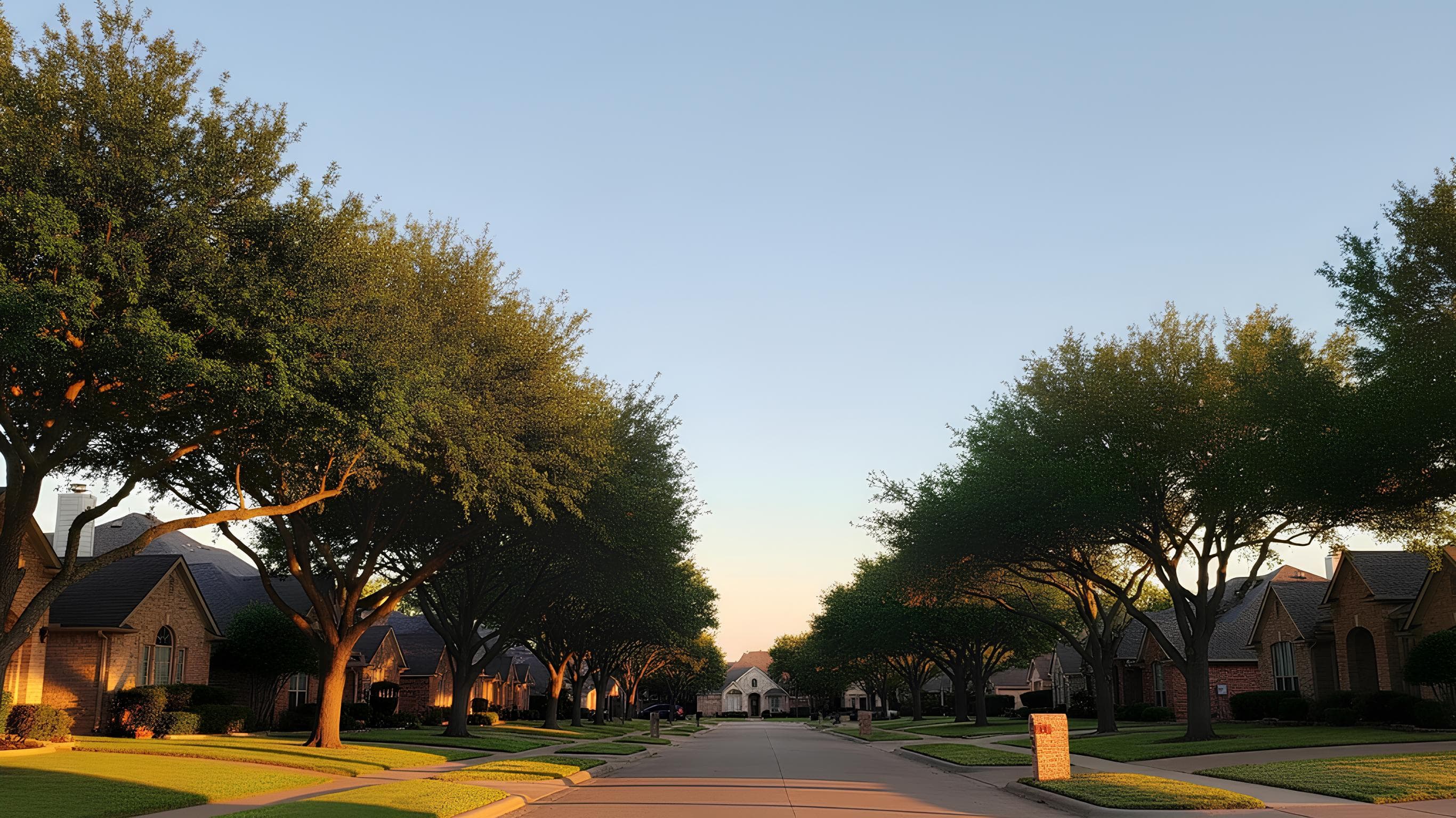 Expert tree services in Fairview