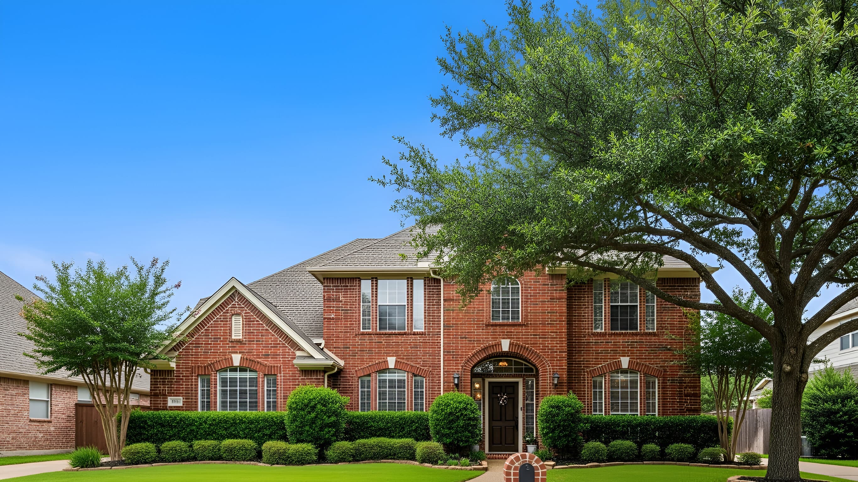 Expert tree services in Plano