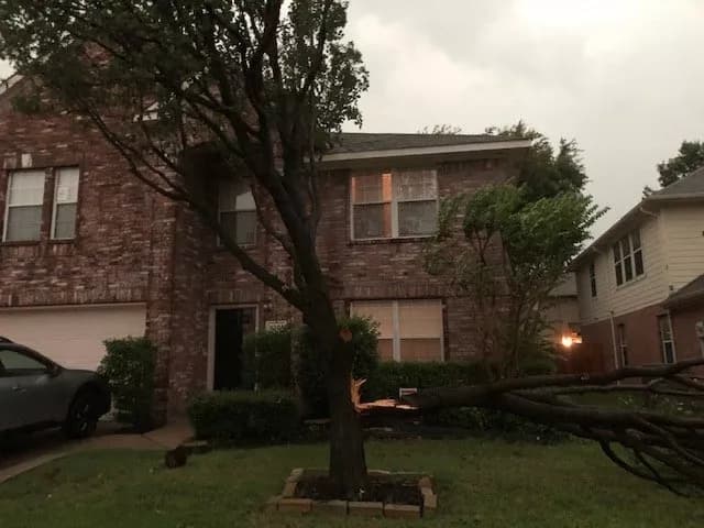 Emergency Tree Services service in McKinney