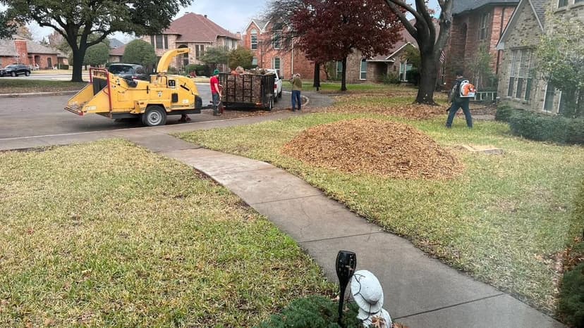 Land & Lot Clearing service in Grapevine