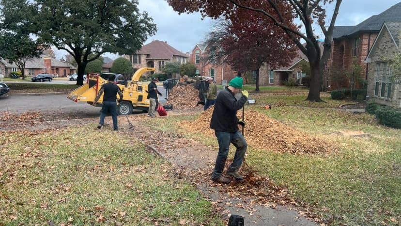 Land & Lot Clearing service in The Colony