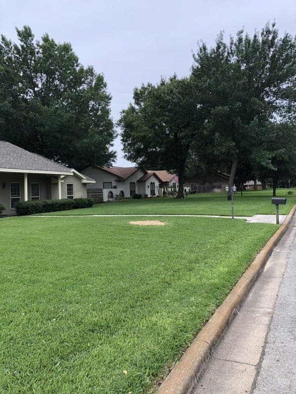 Stump Grinding service in Prosper