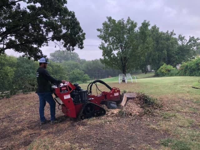 Stump Grinding