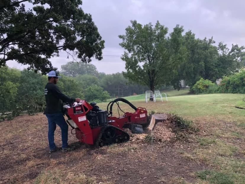 Stump Grinding service in Flower Mound