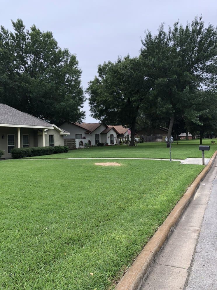 Yard after stump has been ground down
