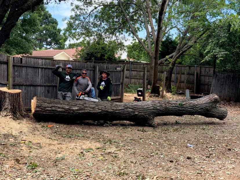 Safe tree removal in a tight space