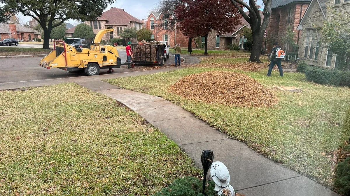 Professional Land & Lot Clearing service