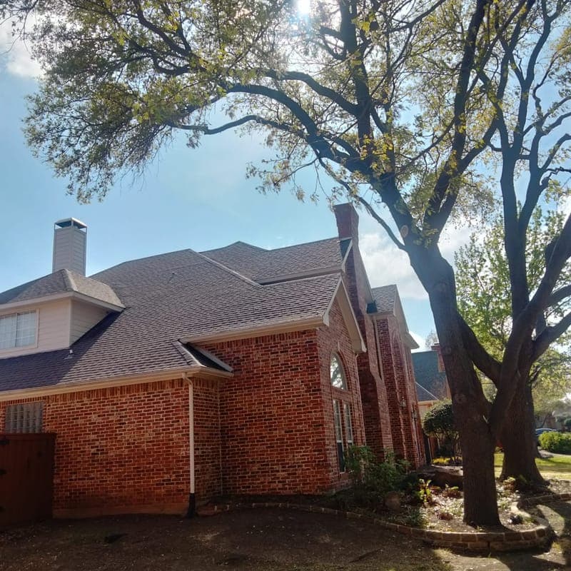 Large tree removal assessment near residential brick home