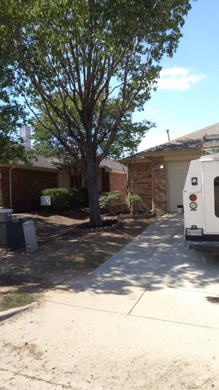 Expert tree pruning for clearance from home roof and structures