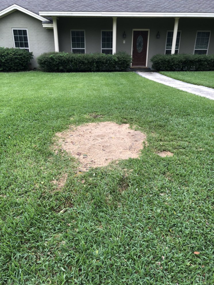 After stump removal - Clean and level ground ready for landscaping